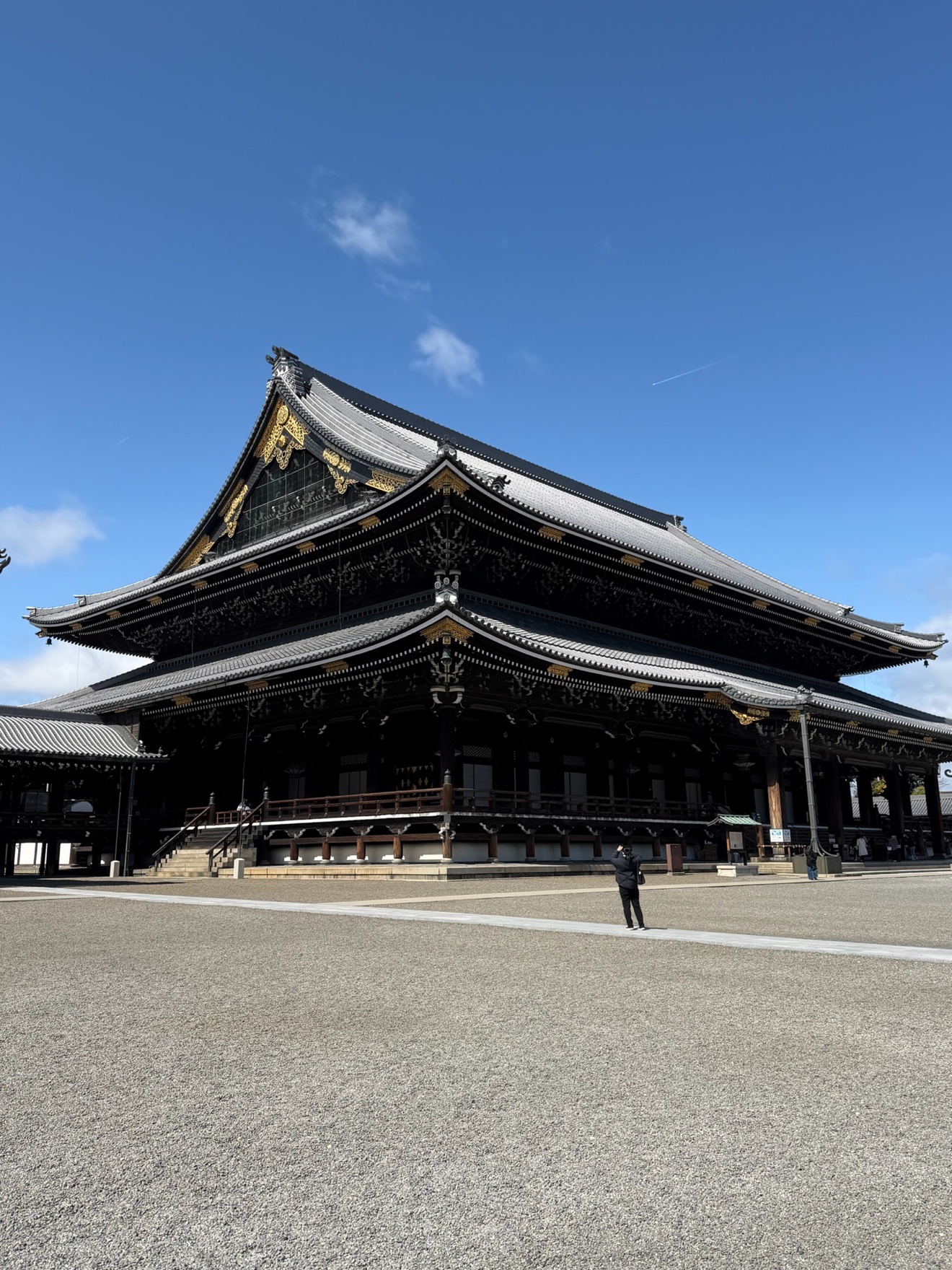 Maddox at Senso-ji Temple in Asakusa, Tokyo