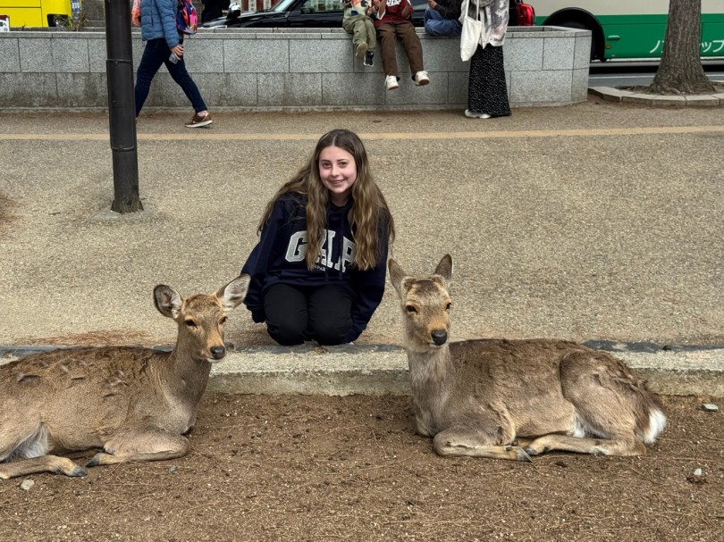 Kennedy crouching between two resting deer in Nara Park