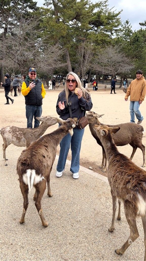 Devon holding a shika senbei cracker, mouth open in surprise, four deer crowding her in Nara Park