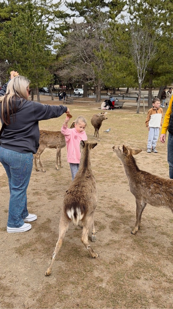 Devon holding crackers up while Sawyer hands one to waiting deer in Nara Park